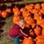 Kasey Lafferty's profile image