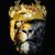Kashif Muhammad's profile image