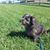 Beth Blankenheim Leety's profile image