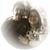 Delma Solis Gallegos's profile image