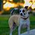 David Hingst's profile image
