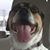 Robert Kestenbaum's profile image