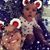 Jasmine Cook's profile image