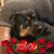Kimberly Holmes's profile image