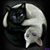 Shelli Rae's profile image