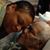 Jacqueline Thompson's profile image