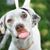 Faye Pugh's profile image