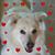 Jennifer Terefinko's profile image