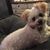 Denise Evancich's profile image