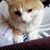 Donna Fogg Alexander's profile image