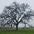 Karen Keebaugh's profile image