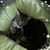 Miranda Turner Dean's profile image