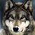 Carol Kaplan's profile image