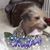 Claudia Ioanes's profile image