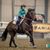 Kendra Zins Lenhardt's profile image
