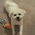 Sherry Gillard's profile image