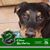 Jennifer Fielders's profile image