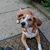 Mary Beth Antivo's profile image