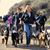 Bonnie Plass's profile image