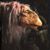 Garreth Ian Kenzitt's profile image