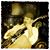 Neil Burcham's profile image