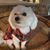 Kimberly Dawn's profile image