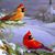 Linda Giddens Boone's profile image