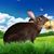 Walter P Salvatore Jr.'s profile image