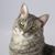 JJ Truesdale's profile image