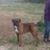 Bridgette Brooks's profile image