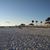 Tammy Glidden's profile image