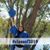 Monica Raines's profile image