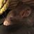 Emma Jo Manley's profile image