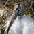 Fran Bogle's profile image