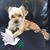 Debbi Rankin's profile image