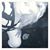 Joyce Ann Hicks's profile image