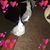 Donna Brooks's profile image