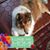 Beverley Gayle's profile image