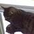 Aslyn Ensor's profile image