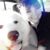 Valerie Wake's profile image