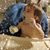 Carmen Perez Parrilla's profile image