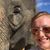 Britt Hemingway's profile image