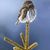 Leisa Allen's profile image
