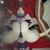 Debbie Evans's profile image