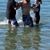 Andre Alan Lew's profile image