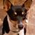 Kim Isham's profile image