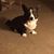 Suzanne Kruse Leonard's profile image