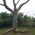 Richard Lee Guinan Garcia's profile image
