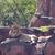 Maria Marchione Farnsworth's profile image