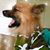 Julie Ann's profile image
